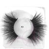 Eye Lashes